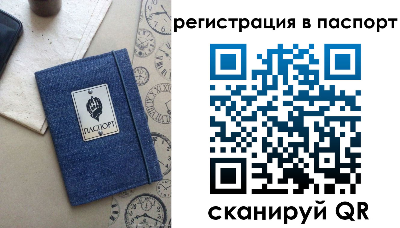 прописка в Чудово